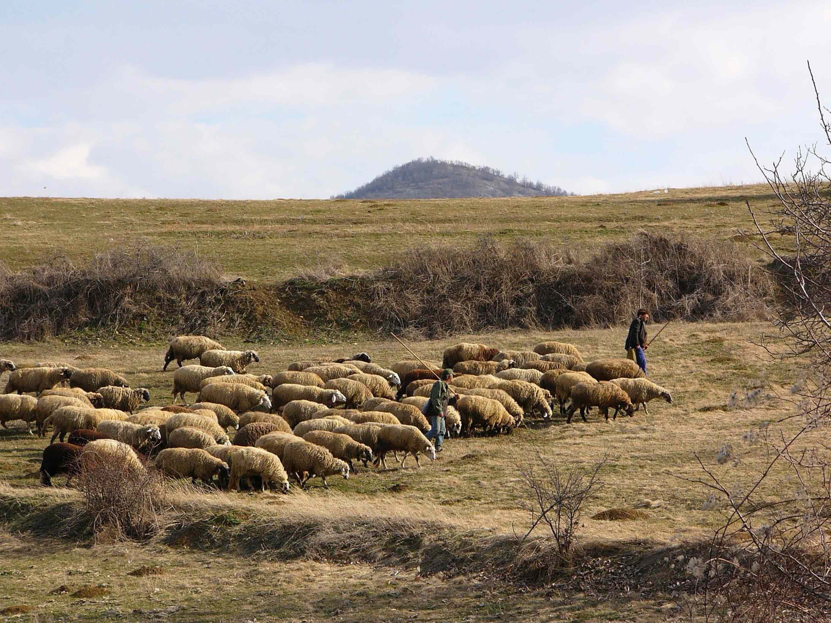 Siegel und Zertifikate für Wolle und Garne