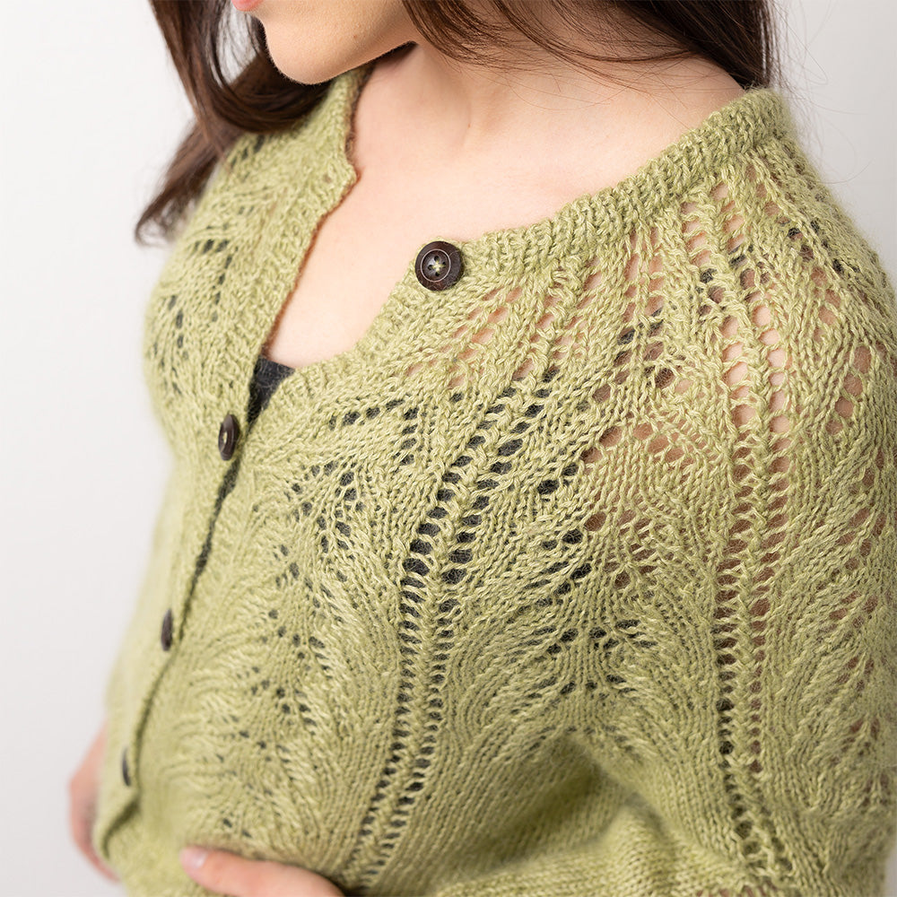 MODÈLE | CARDIGAN EYED FERN