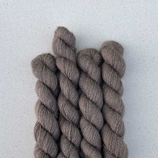 Pascuali ALASKA 2